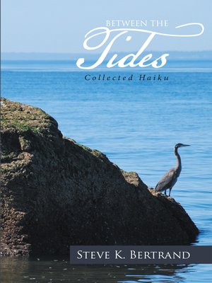 cover image of Between the Tides